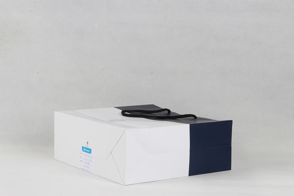 高端商務(wù)型銅版紙袋 KATASHIMA 高端商務(wù)型銅版紙袋 KATASHIMA