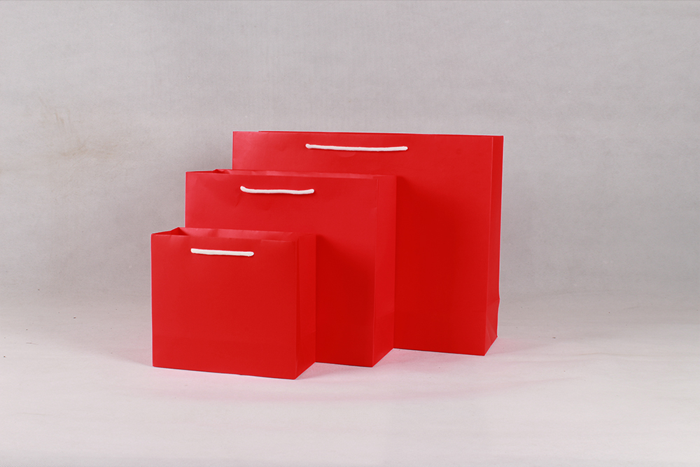 時尚橫版白卡紅色禮品紙袋 時尚橫版白卡紅色禮品紙袋