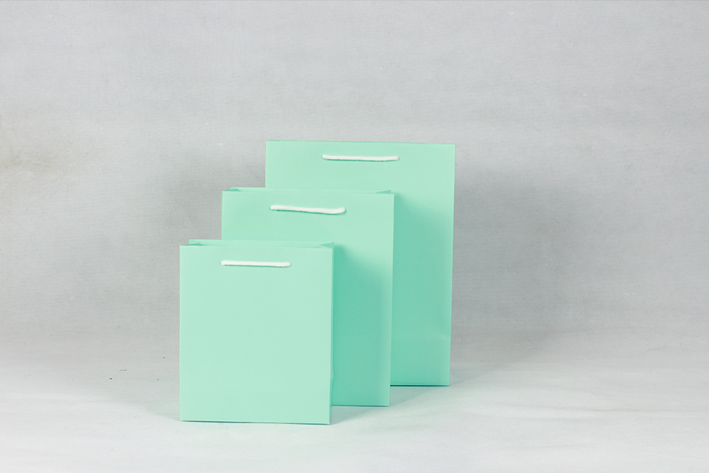 時尚淺綠色白卡禮品紙袋 時尚淺綠色白卡禮品紙袋