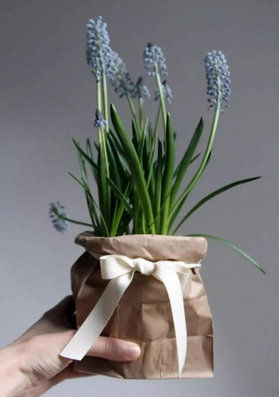 情人節(jié)鮮花市場(chǎng)大賣(mài) 高規(guī)格包裝取代傳統(tǒng)包裝 情人節(jié)鮮花市場(chǎng)大賣(mài) 高規(guī)格包裝取代傳統(tǒng)包裝