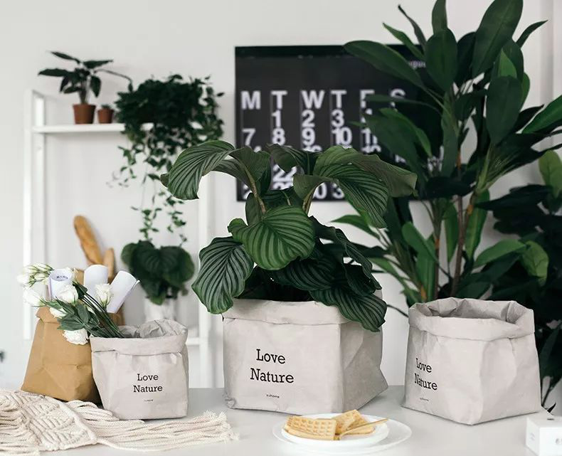 巧用牛皮紙袋收納，還你一個舒適的家！